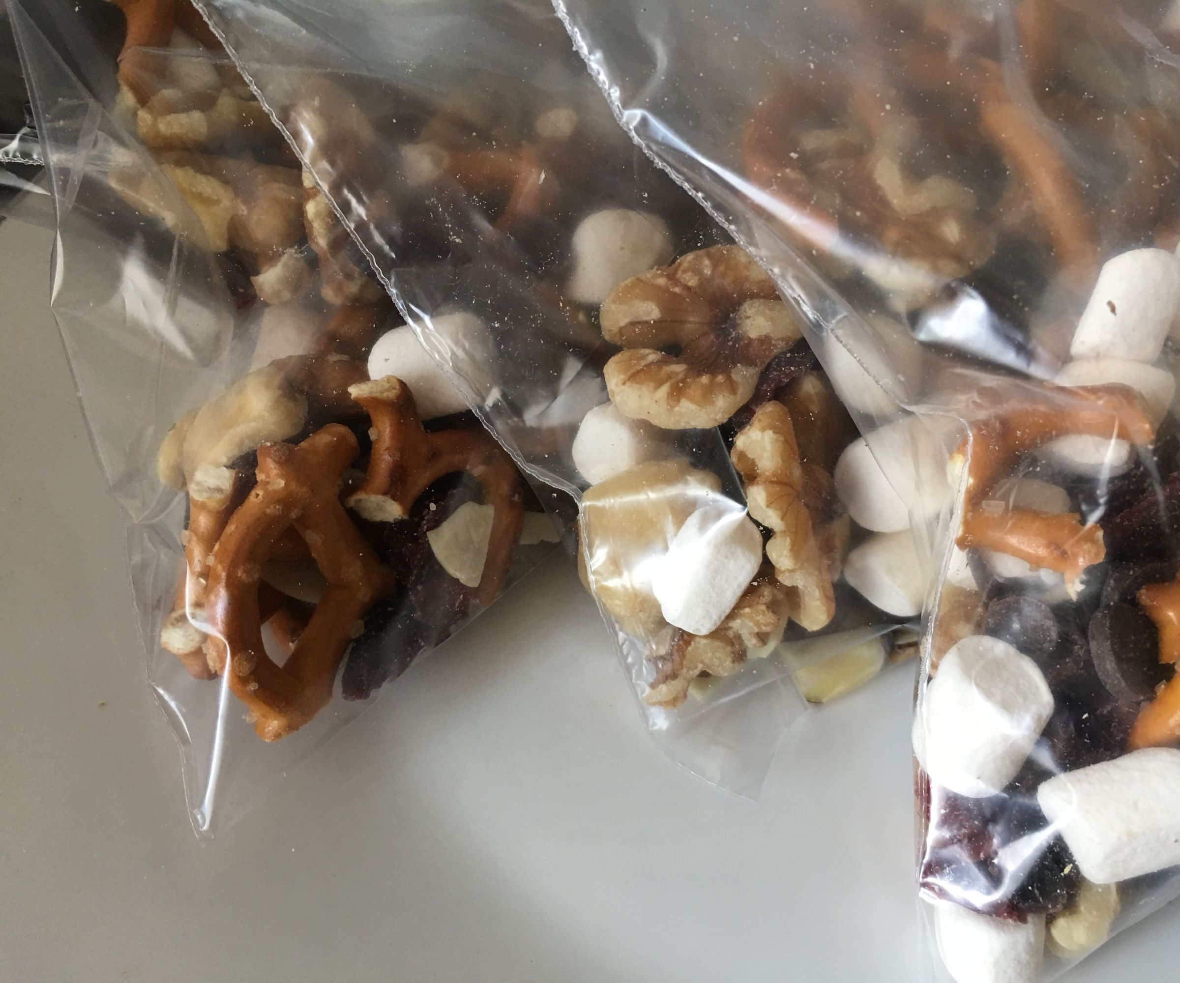 Energy Travel Snack