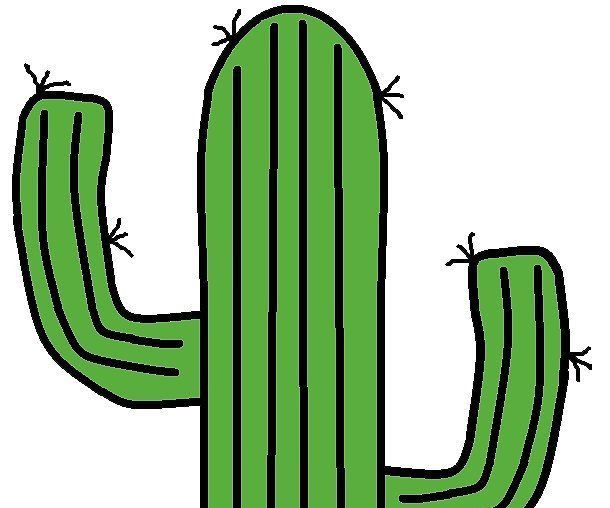Cacti Light Display 