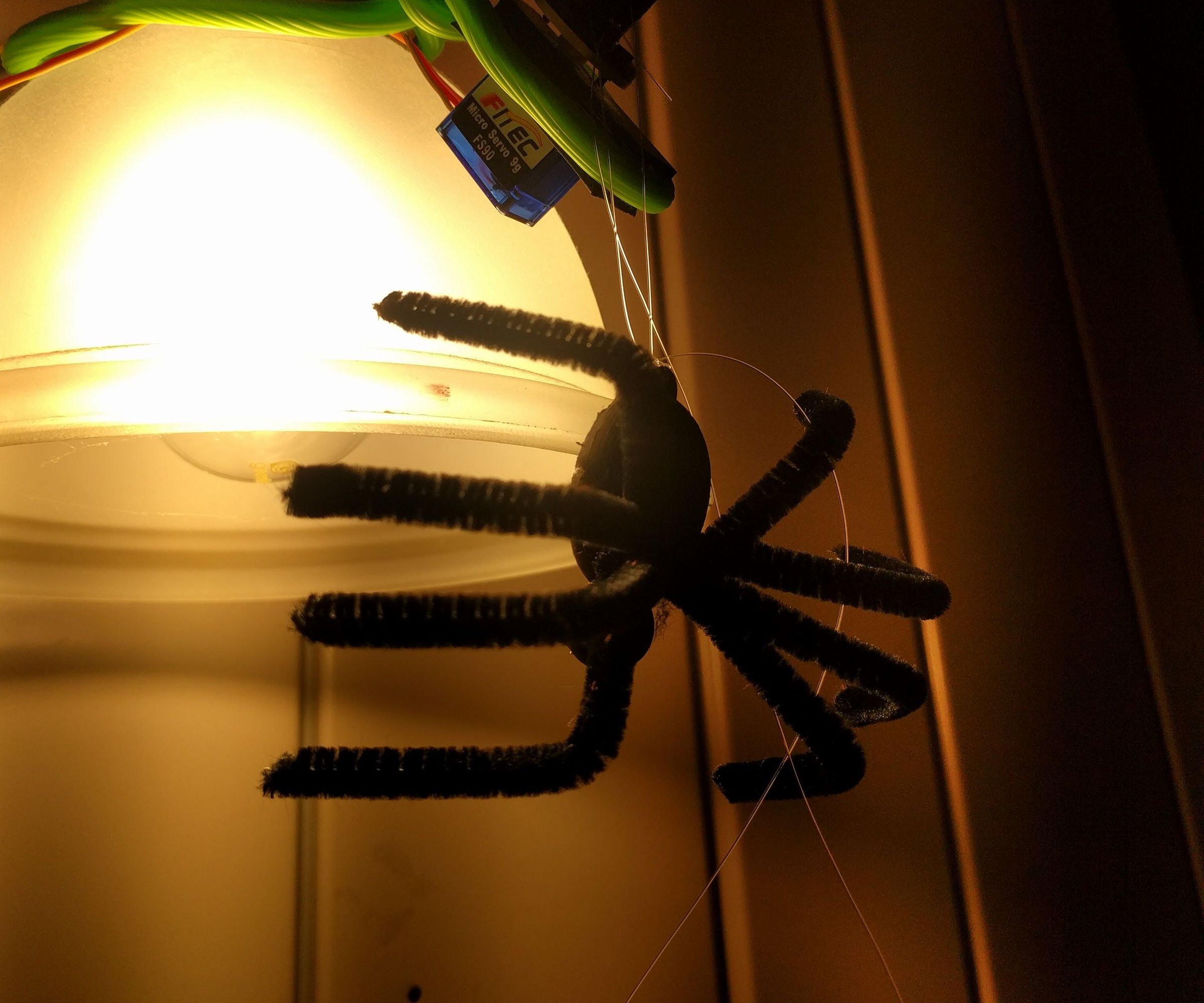 Dropping Halloween Spider