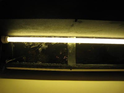 Measure Where You Want to Install the Strip on Your Tank