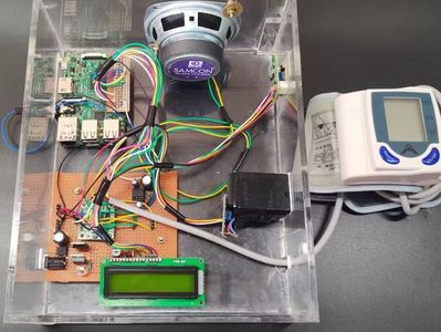 BP Classification & Announcing Results Over Voice Using Pi3