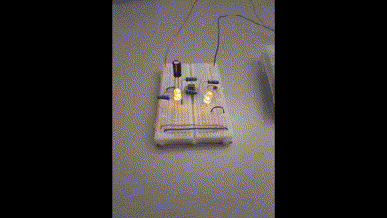 Making the Blinking Circuit