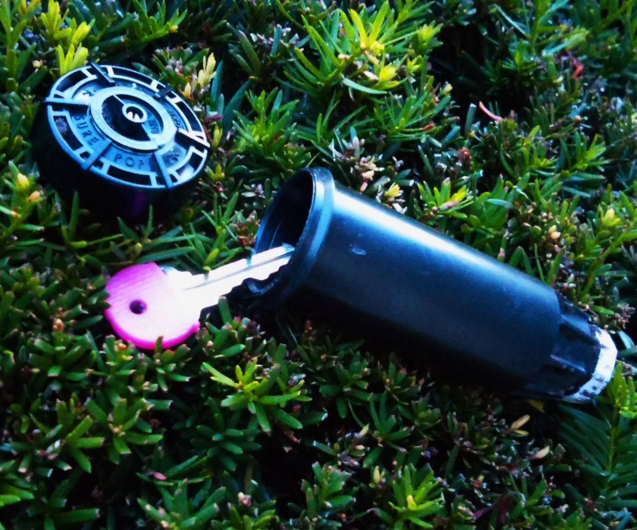 In Ground Sprinkler Hiding Spot