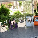 Colorful Classic MacPlanters