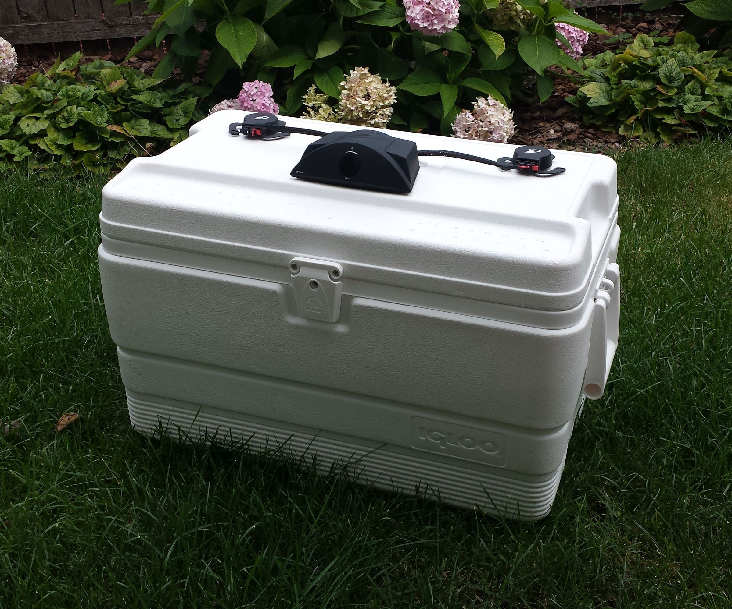 5 Minute Cooler Speaker