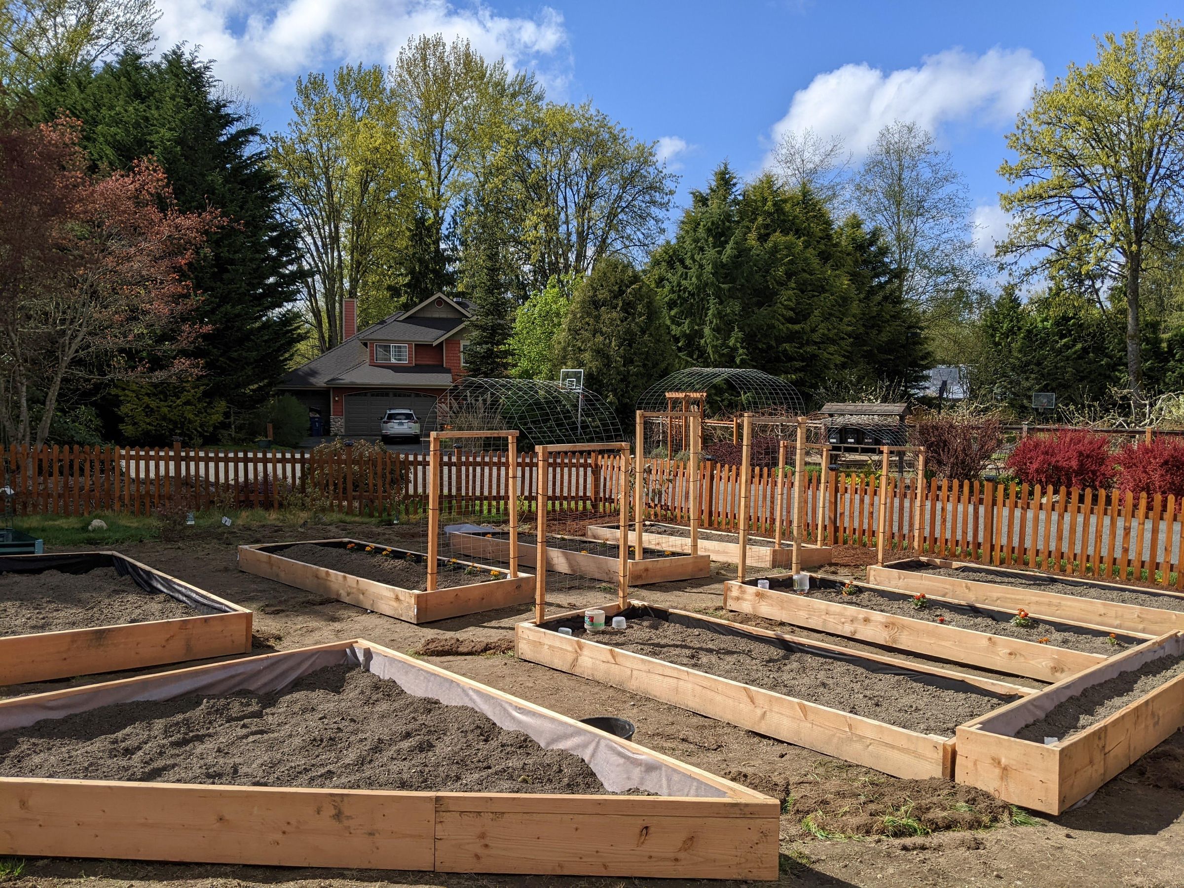 DIY: Transforming My Front Yard From Grass to a Vegetable Garden : 8 ...