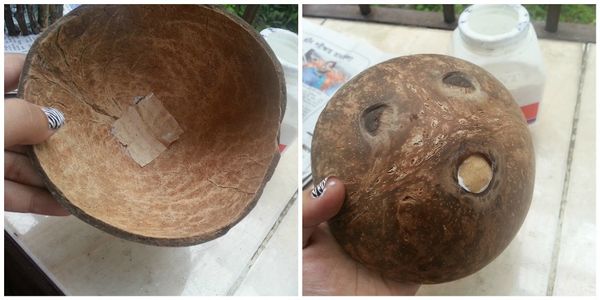 DIY Coconut Shell Jewelry Box : 4 Steps (with Pictures) - Instructables