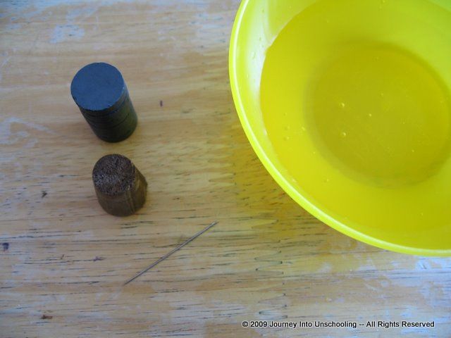 Homemade Compass