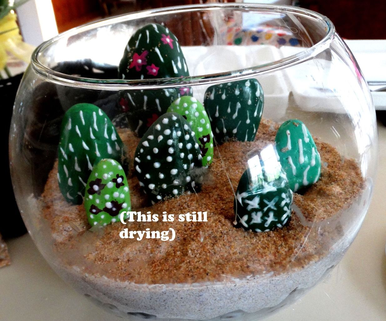 Rock Cacti Terrarium