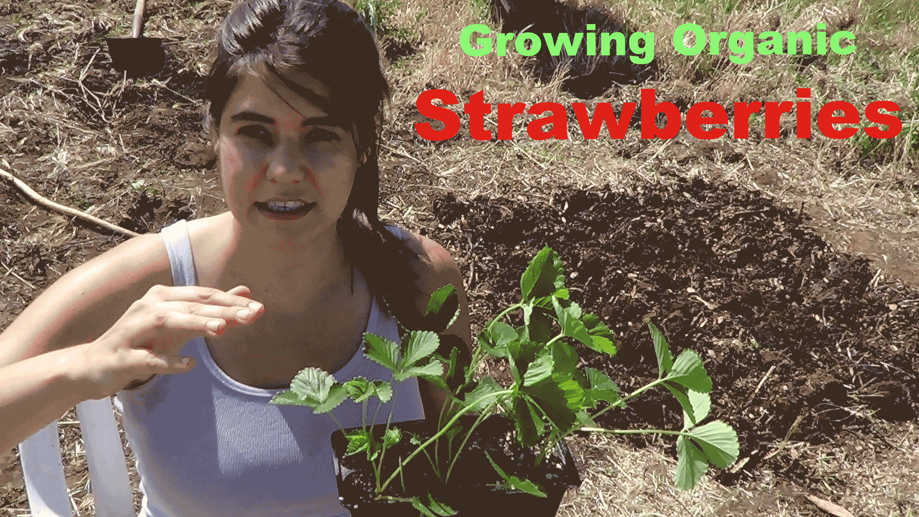 How to Plant a Strawberry Patch: Building a Garden from Scratch Video Series: Part 2