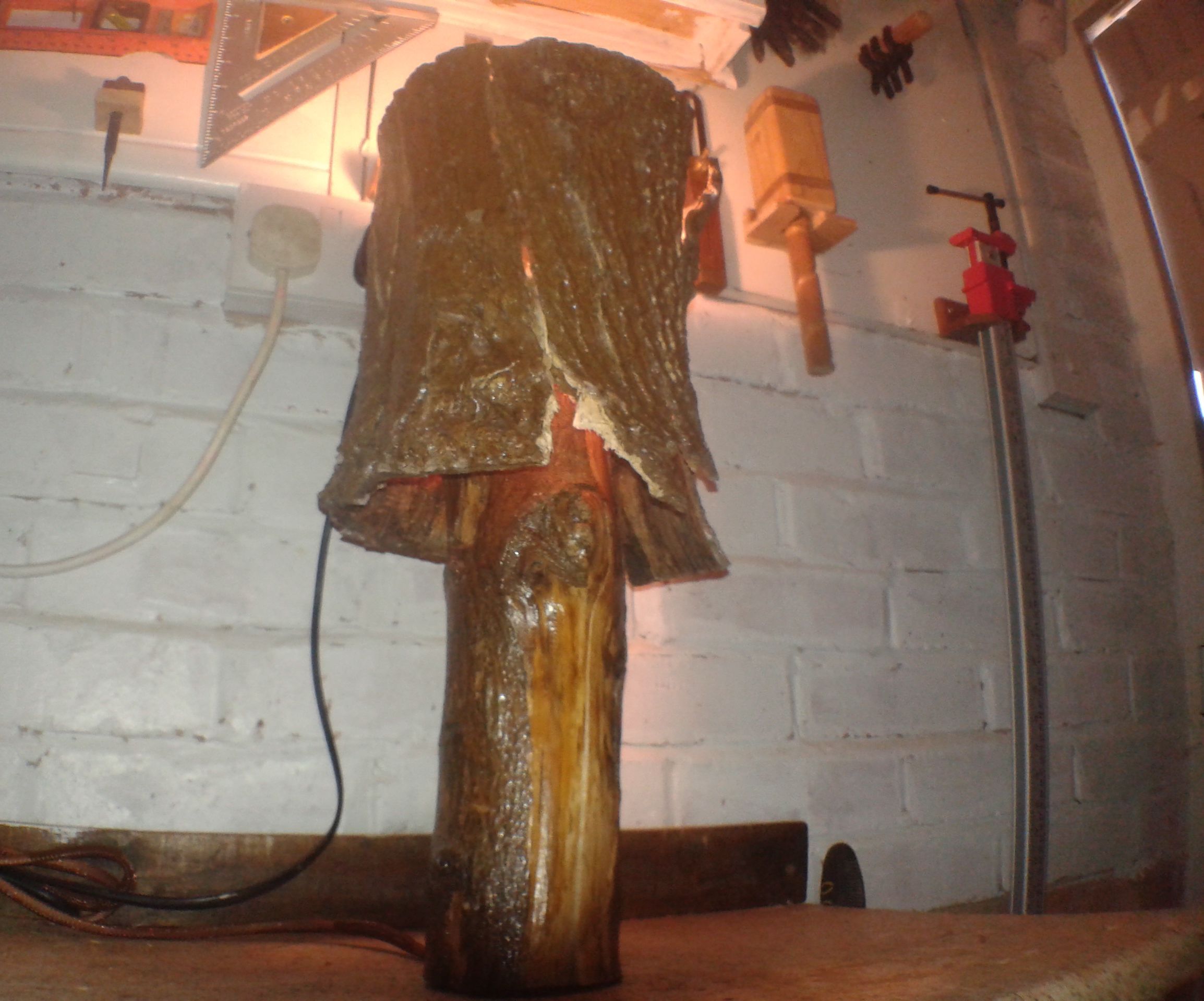Log Bark Lamp