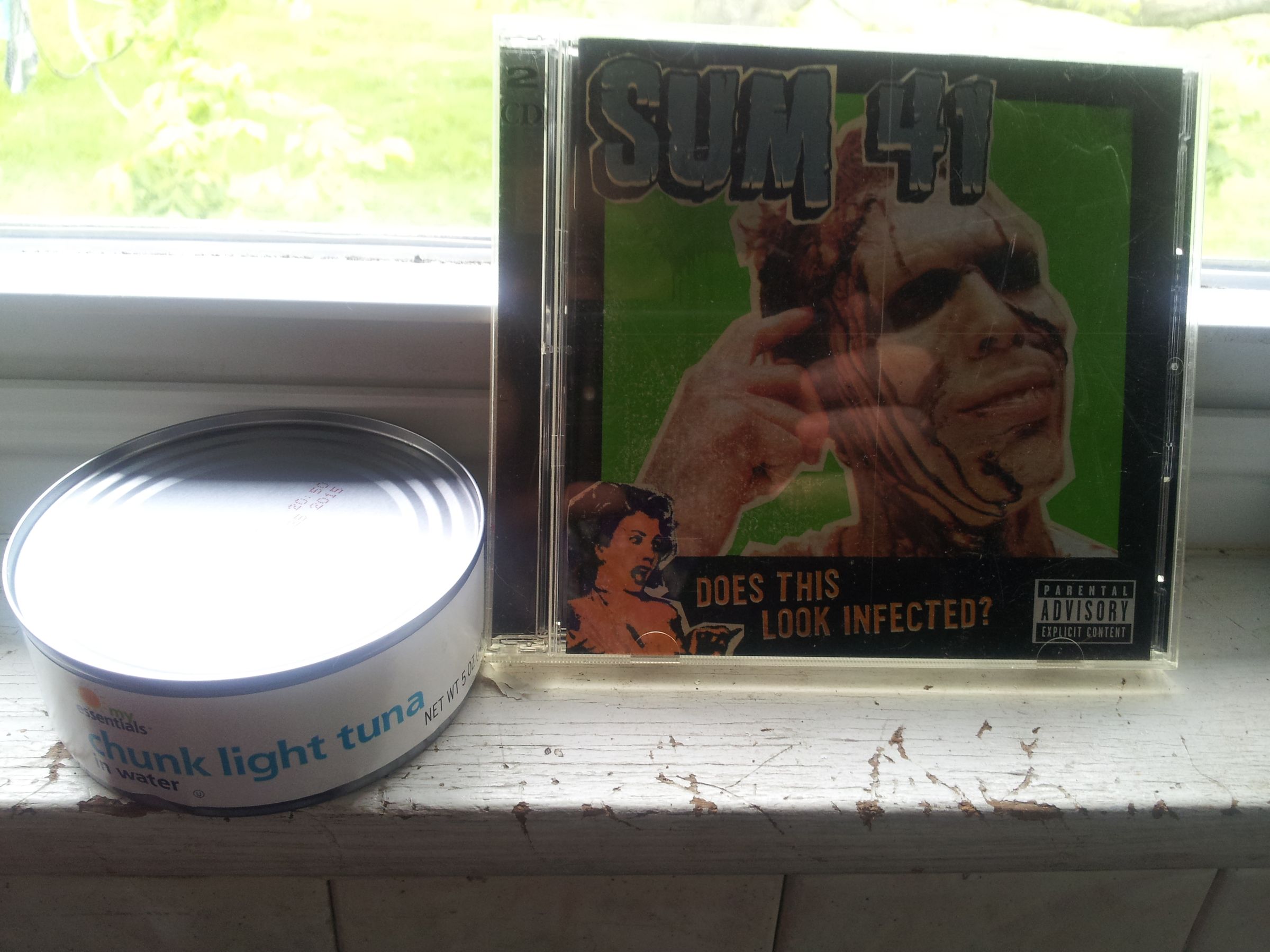 CD Lid: How to Make Something Useful Out of Sum 41 and Tuna Fish