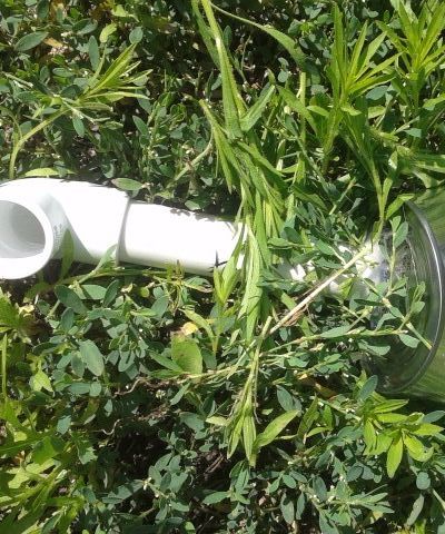Water Feeder for Small Animals 