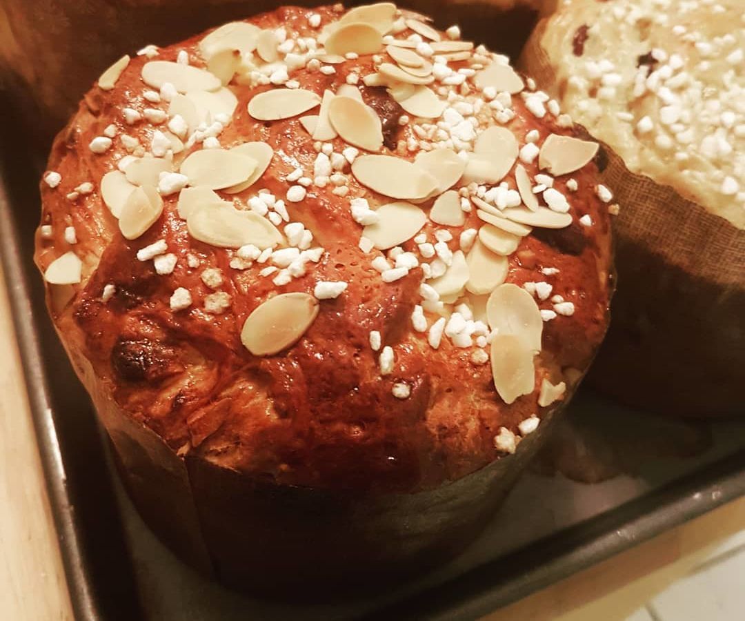Homemade Panettone