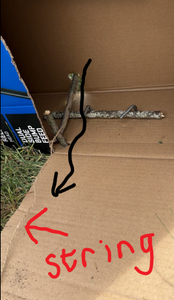 String - Part 2