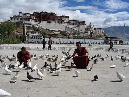Tips: Acclimatize to High Altitude at First Two Days in Lhasa.1