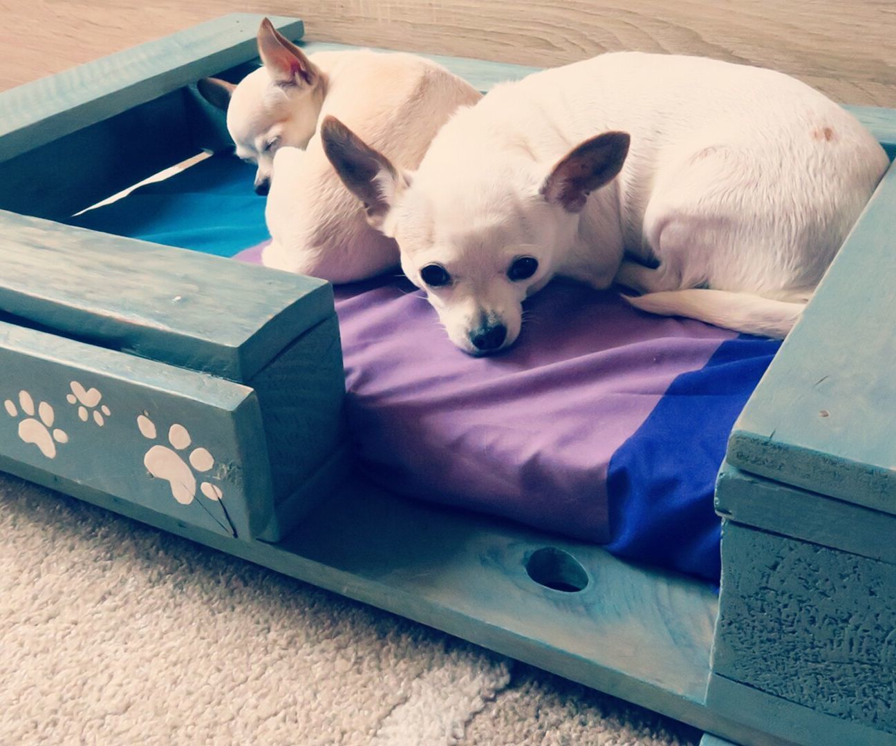 Pet Bed From Pallet - VIDEO