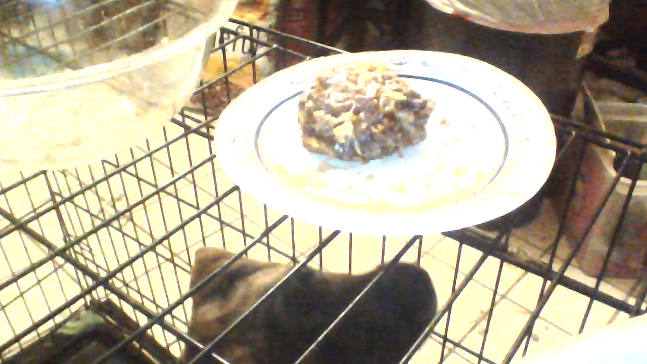 Mochonion Burger (mo-chun-yun)