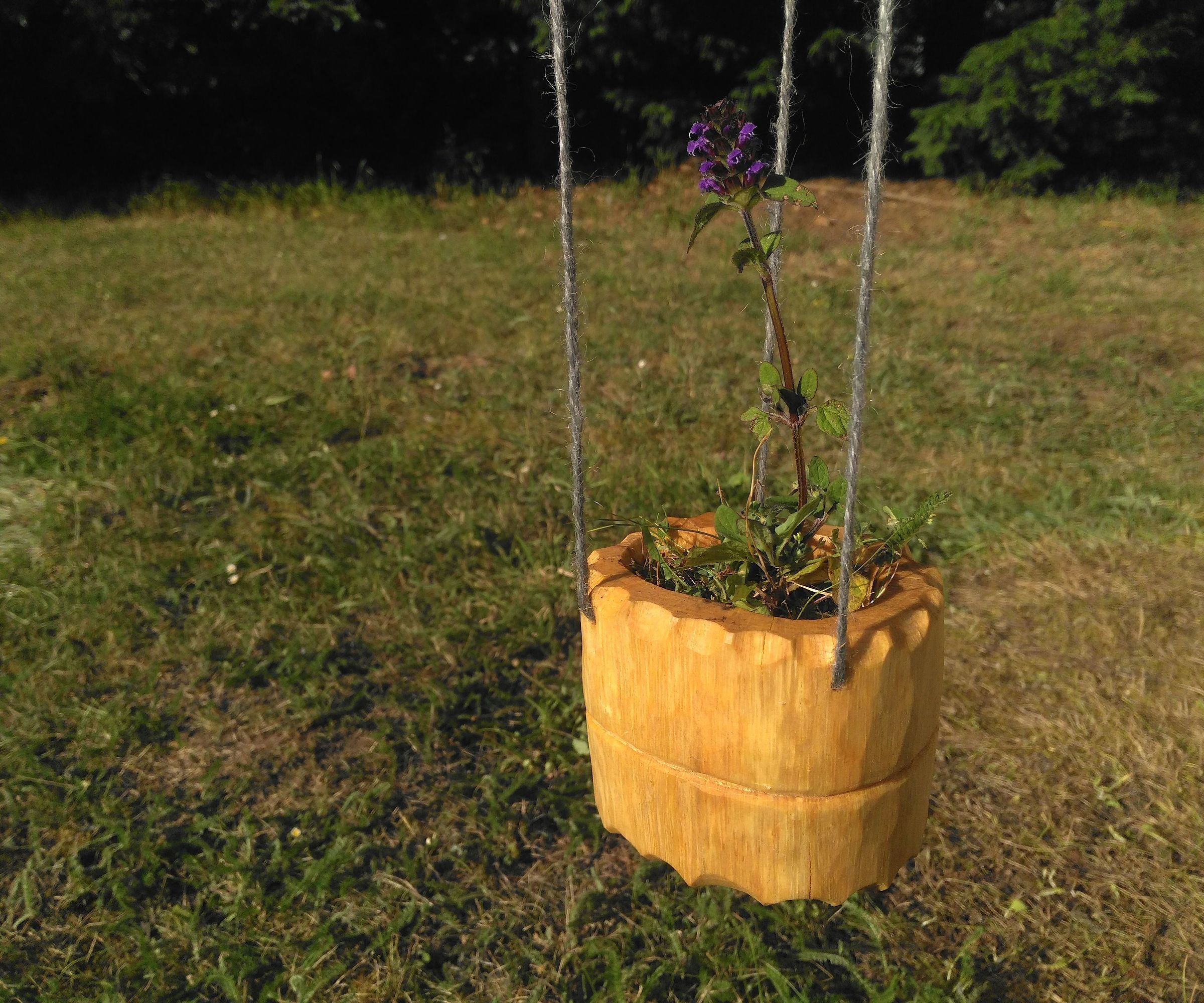 Shrink Pot Planter