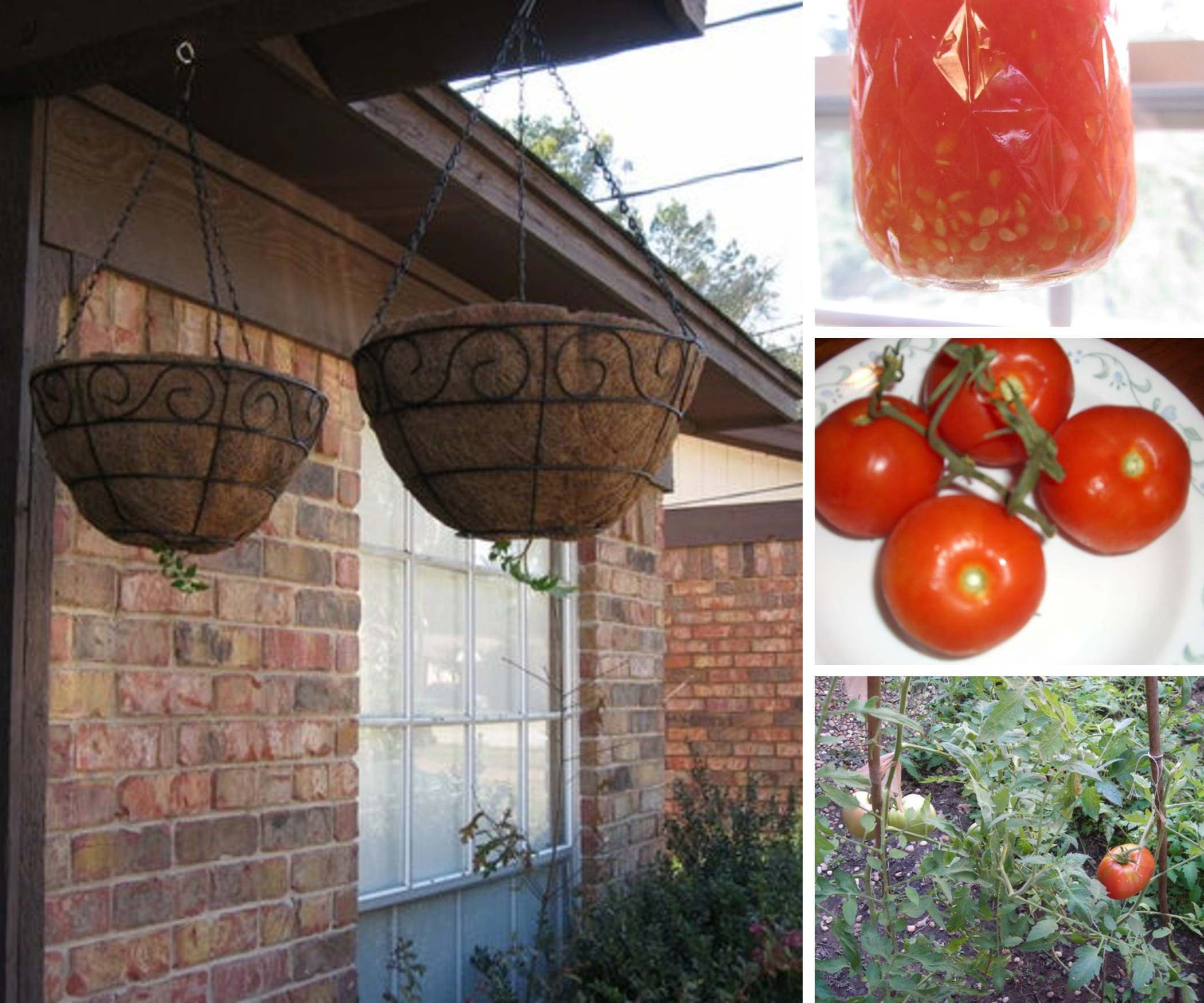 Gardening on a Balcony