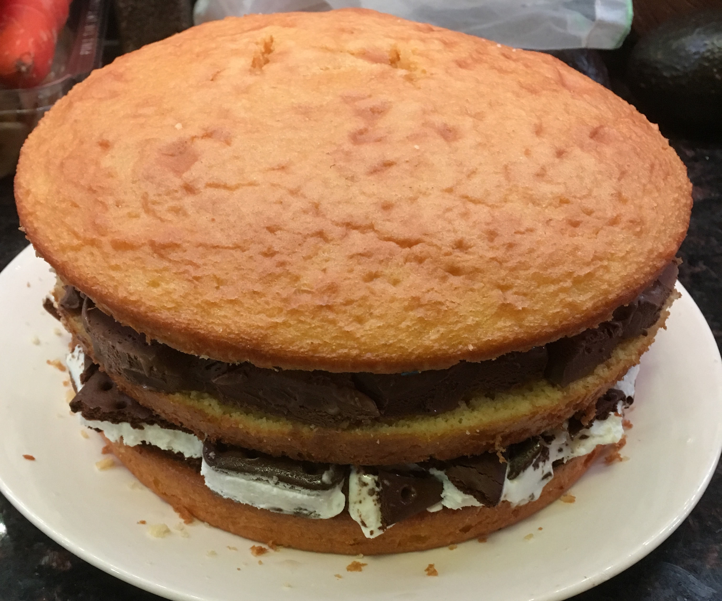 Ice Cream Sandwich & Ice Cream Cake