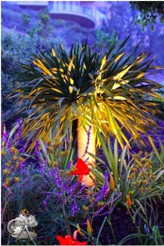 Increase the Elegance and Beauty of Your Landscape