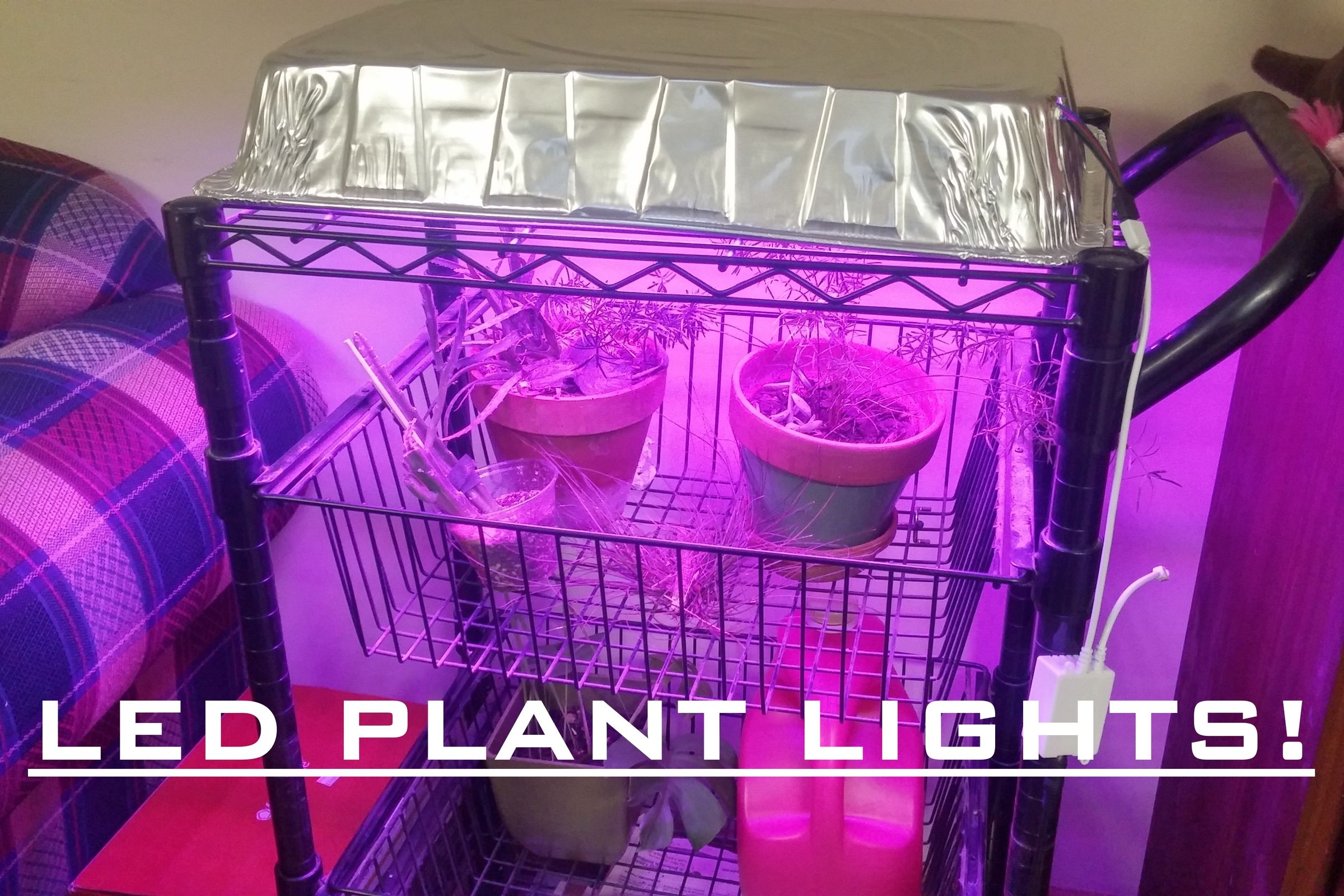 LED Grow Light for Indoor Plants for $30! Easy! 