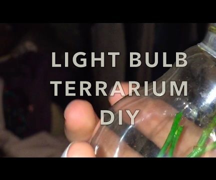 DIY Light Bulb Tarrarium