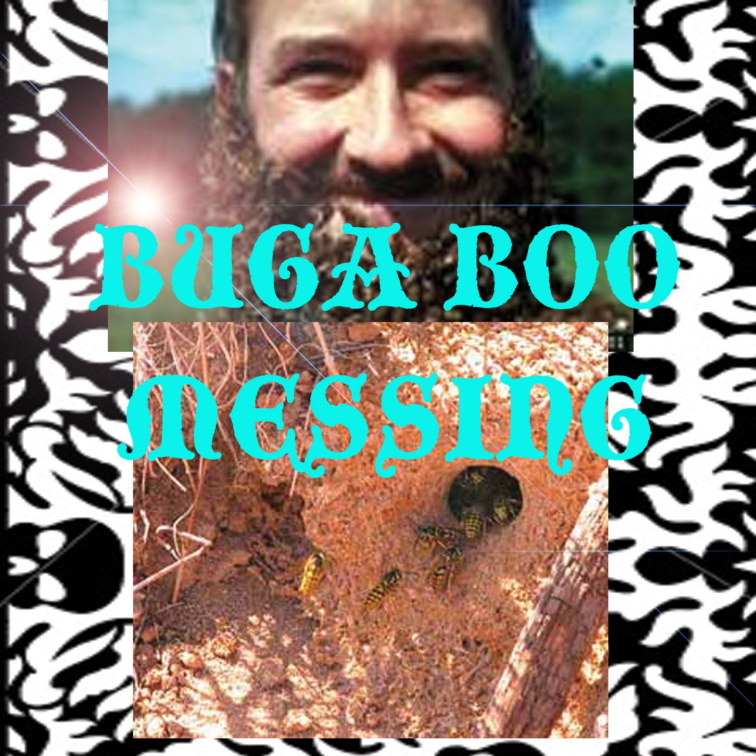 Ok Here We Go --- HOW TO GET RTID OF BEES WASPS AND BUGABOOS