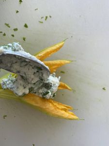 Stuffing Courgette Flowers
