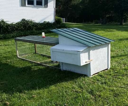 Chicken Coop