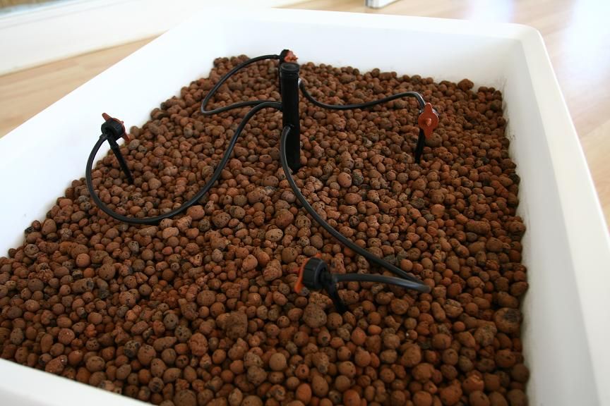 Hydroponics Grow Kits - Grow It