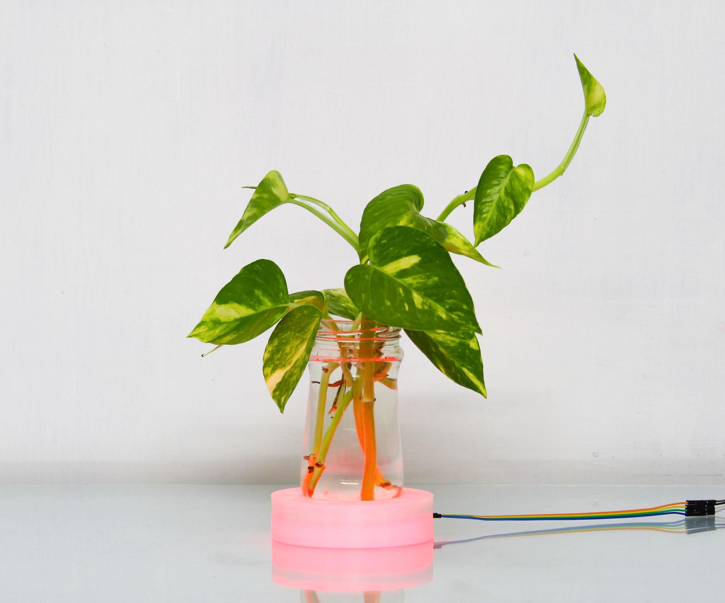 Parametric RGB Glass Planter Stand