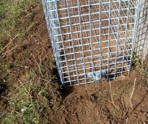 Gabion Retaining Wall