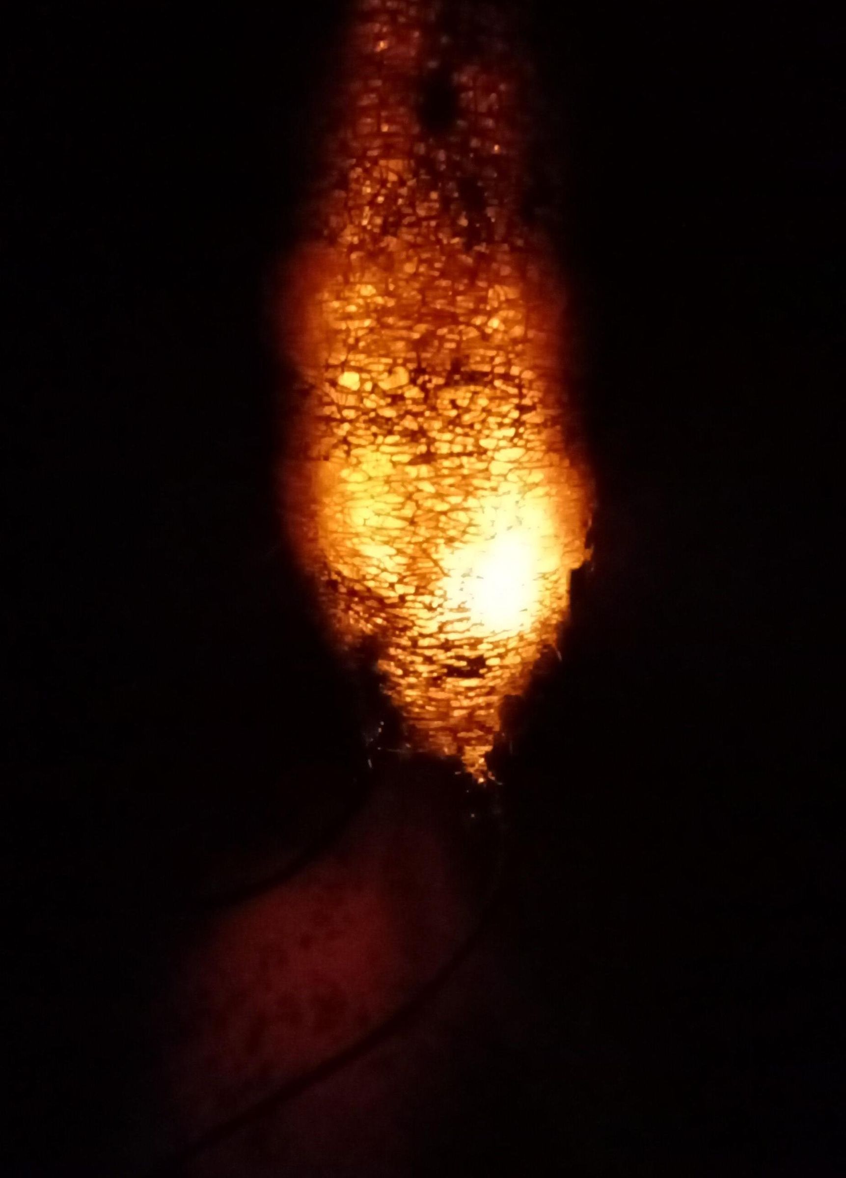 Beautiful Hanging From Dry Sponge Gourd