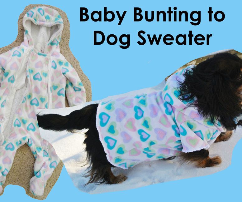 From Baby Bunting to Dog Sweater