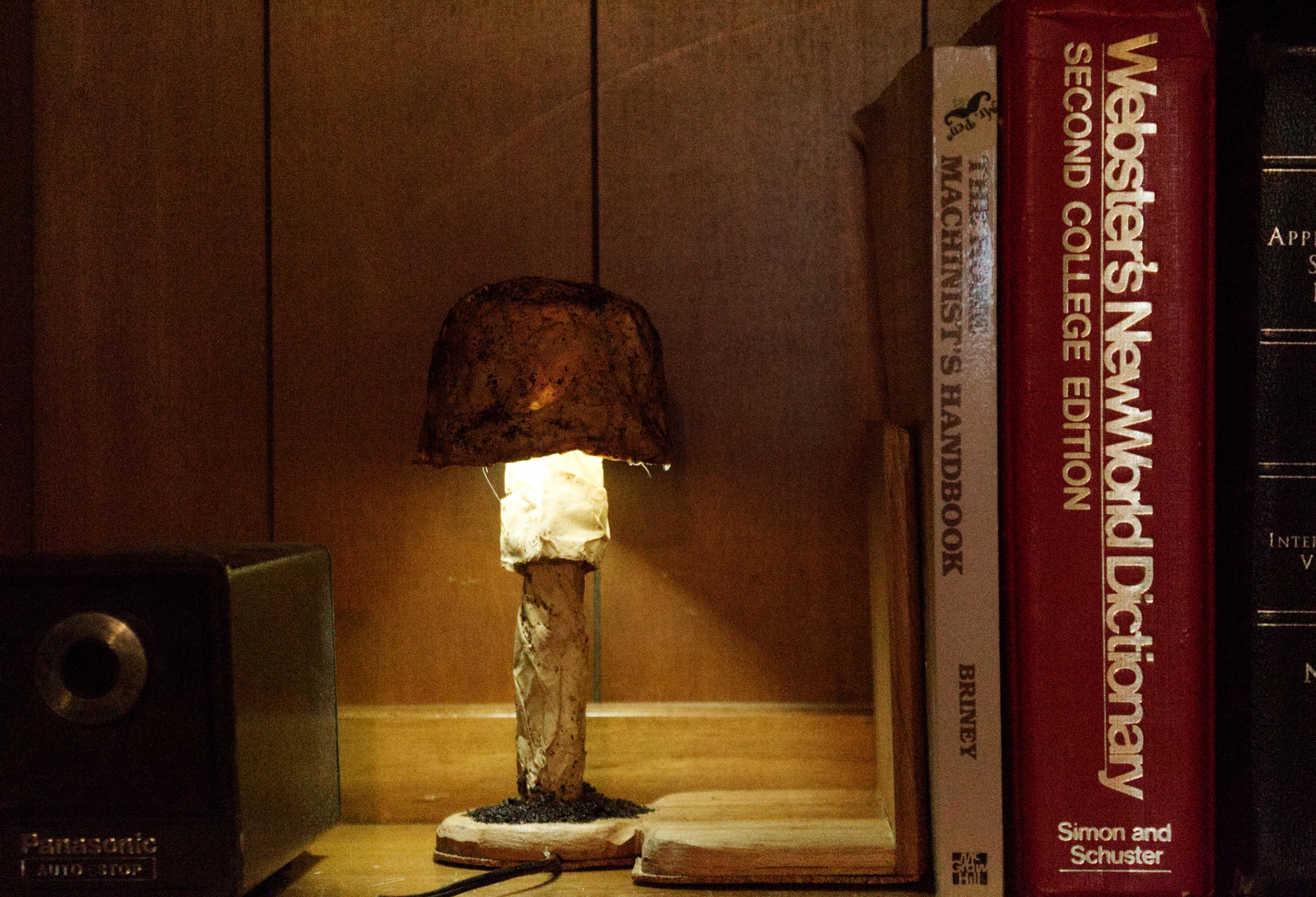 Paper Mache Mushroom Bookend 18 Steps Instructables