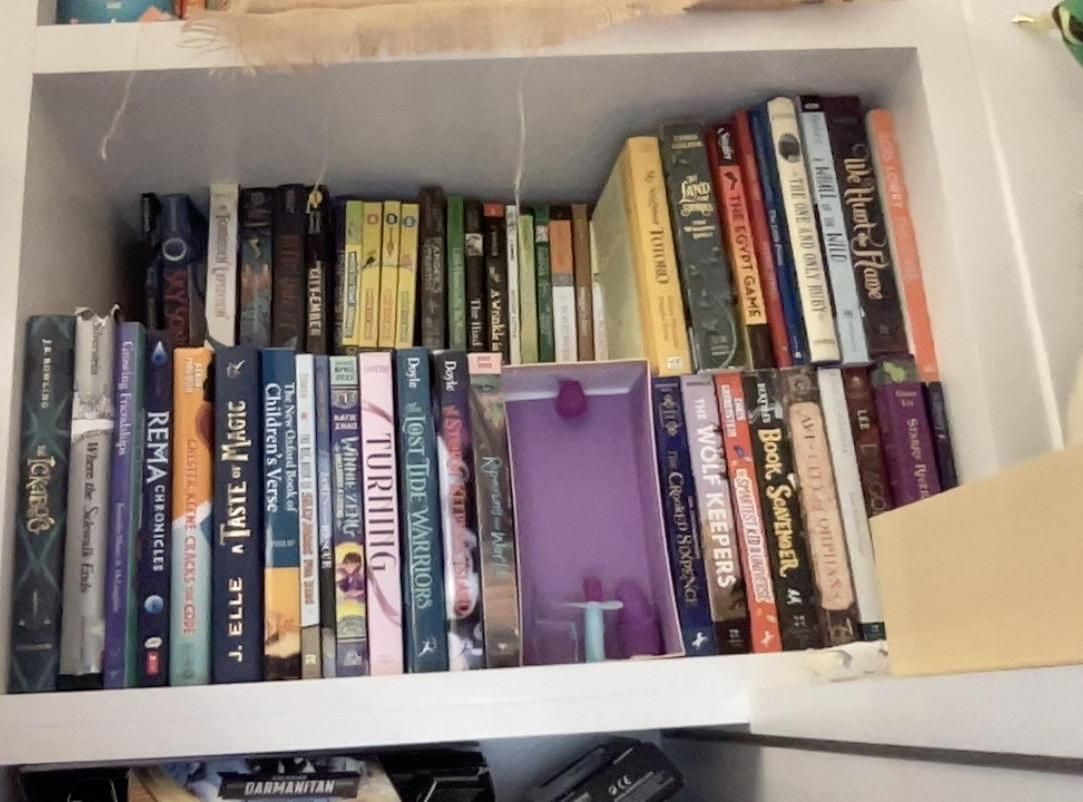 Small House Inside Bookshelf