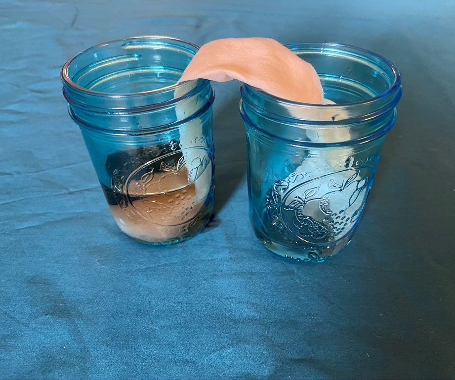 Paper Towel Bridge - Surface Tension