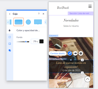 VISTA PREVIA Y AJUSTES FINALES