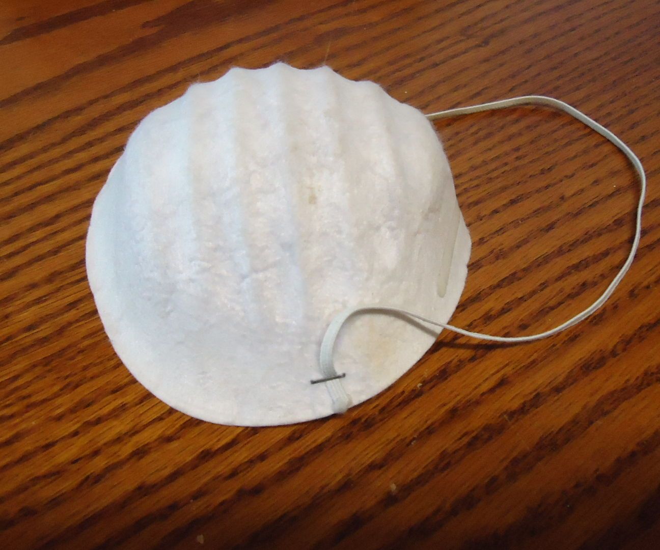DIY Dusk Face Mask