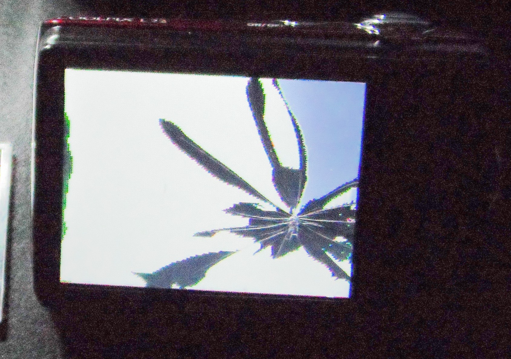 Replace the LCD on a Nikon Coolpix L22