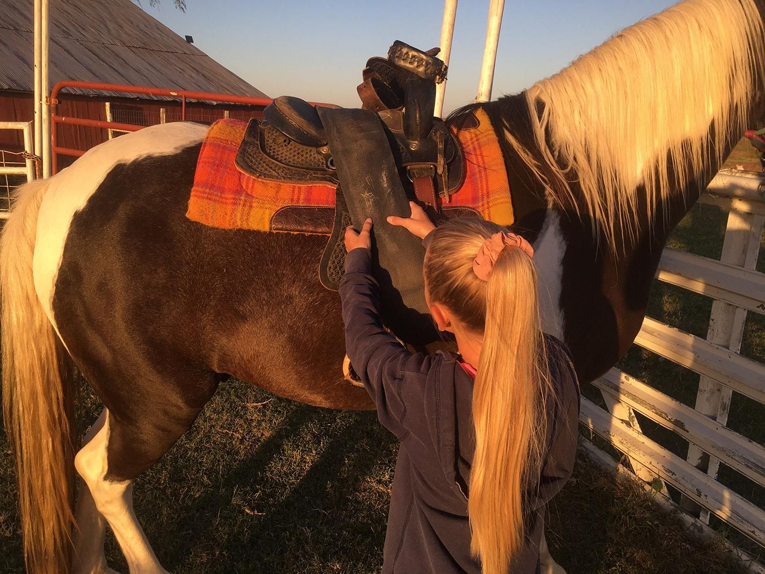 How to Saddle a Horse! 6 Steps Instructables