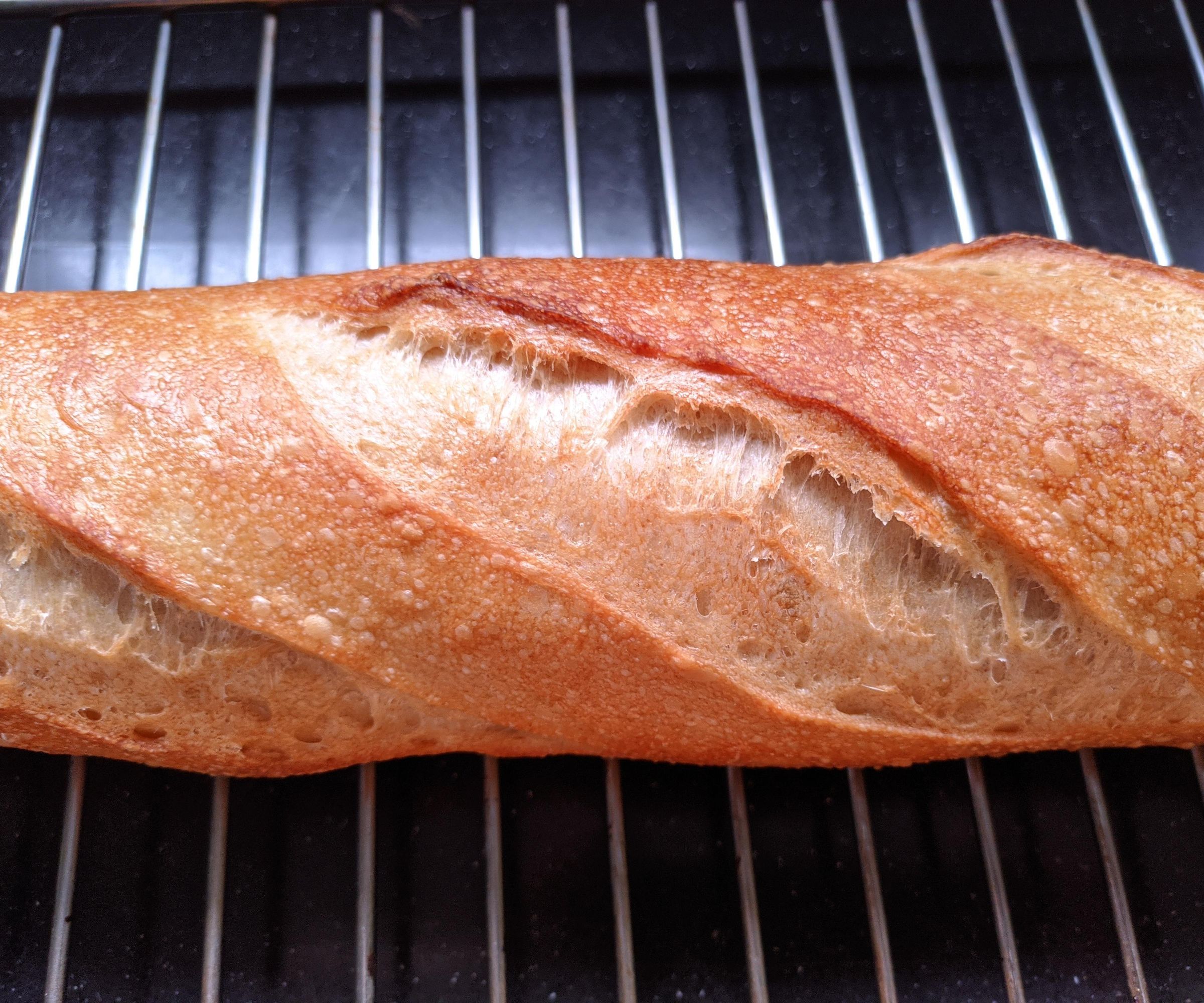 Quick ? Sourdough Bread 