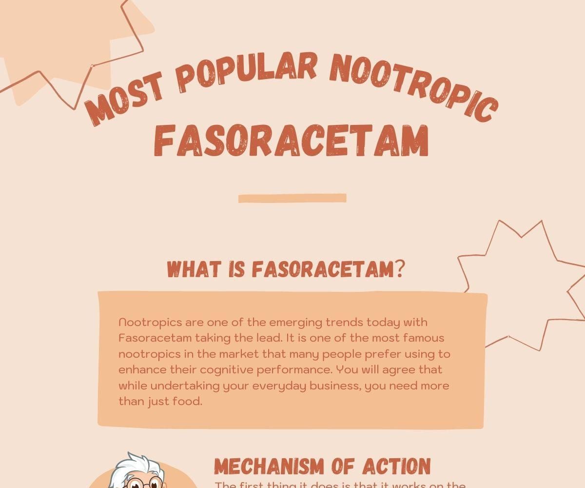 The Most Popular Nootropic Fasoracetam: What Does It Give Us?