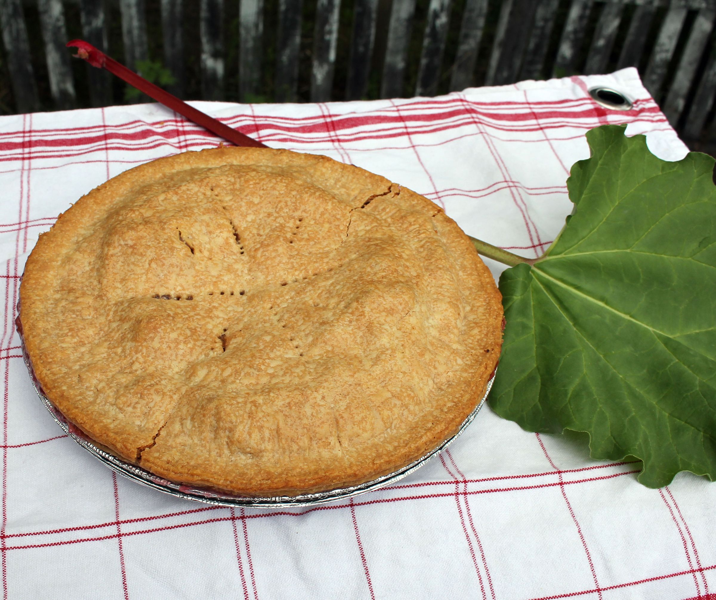 Quick & Easy Backyard Rhubarb Pie