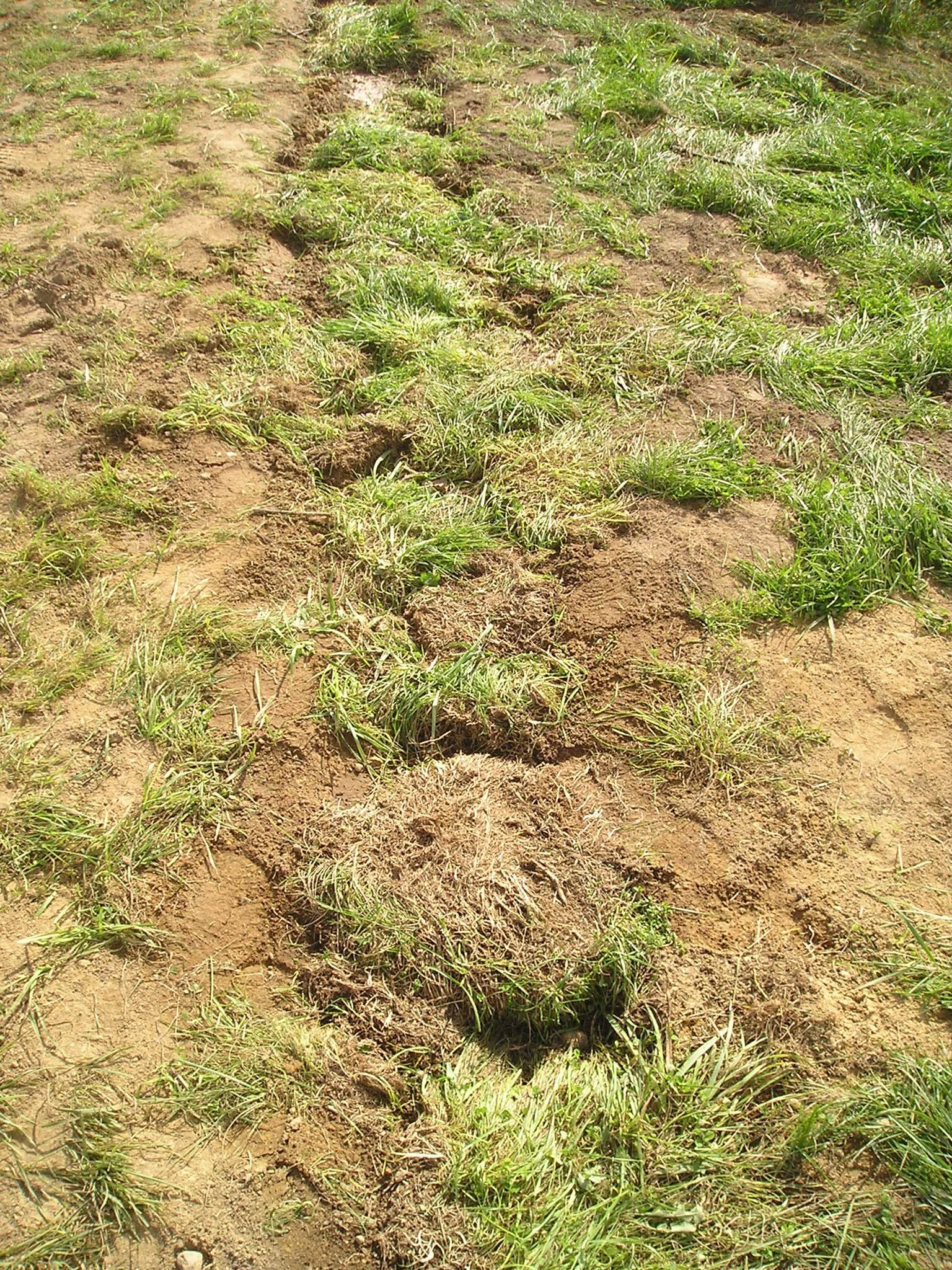 Put Your Hoses Underground 7 Steps (with Pictures) Instructables