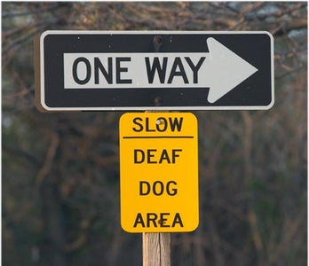 A Vibrating Deaf Dog Caller Collar <5$