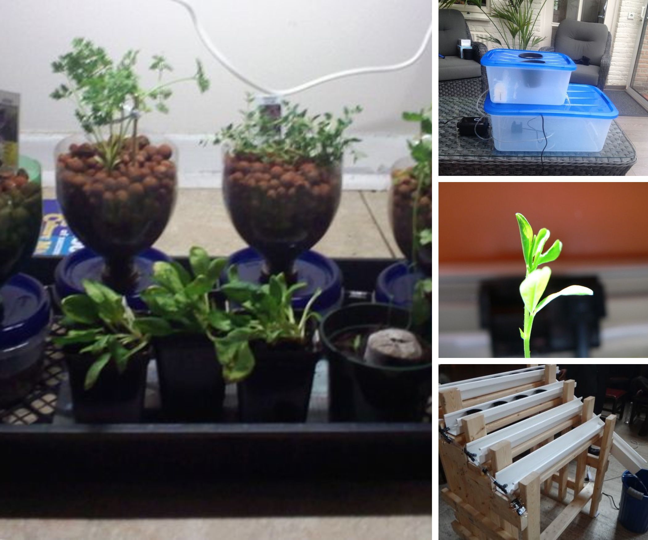 Hydroponics and Aquaponics Guides