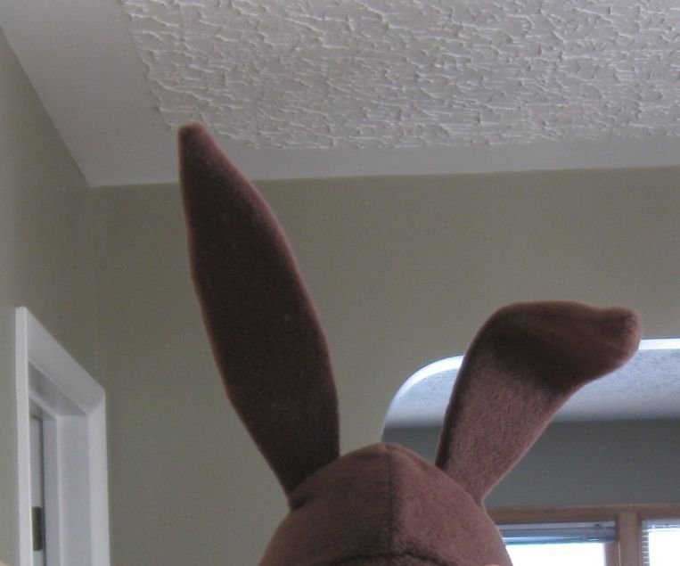 Bionic Louise Belcher and Firefox for the Rest of Us!